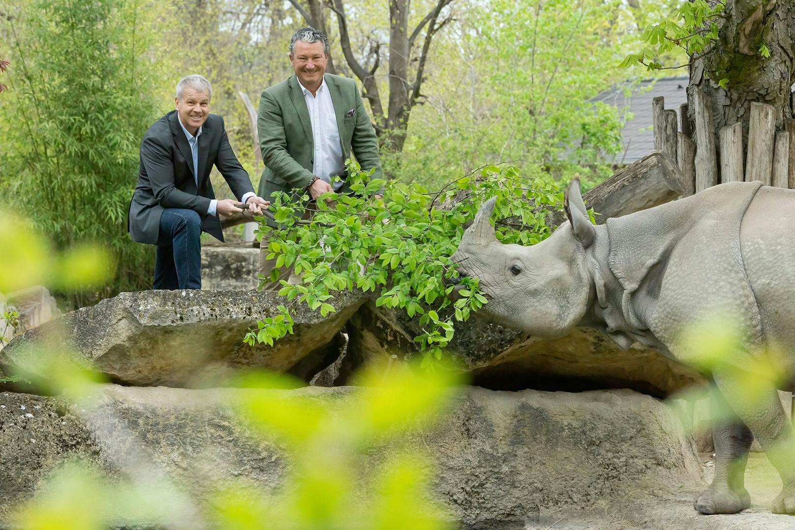 DI Andreas Gruber, Vorstand der Österreichischen Bundesforste, Dr. Stephan Hering-Hagenbeck, Direktor des Tiergarten Schönbrunn füttern ein Nashorn.