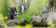 Blattwerk aus Wienerwald peppt Zoo-Speiseplan auf