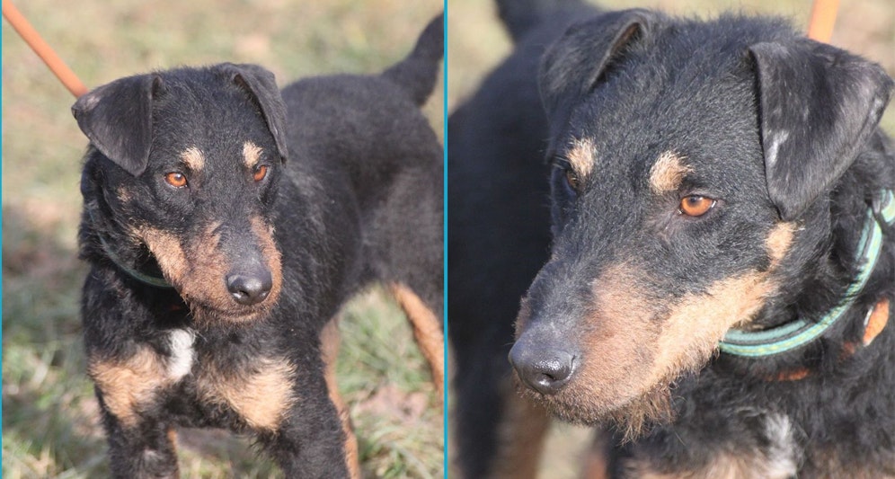 Der erst 18 Monate alte 