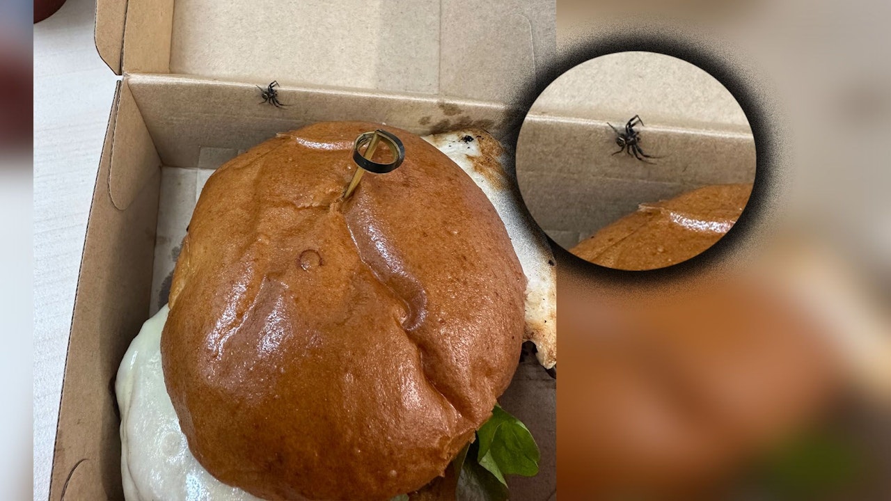 Heute.at - Es krabbelt! Mann geht Essen, findet Spinne im Burger