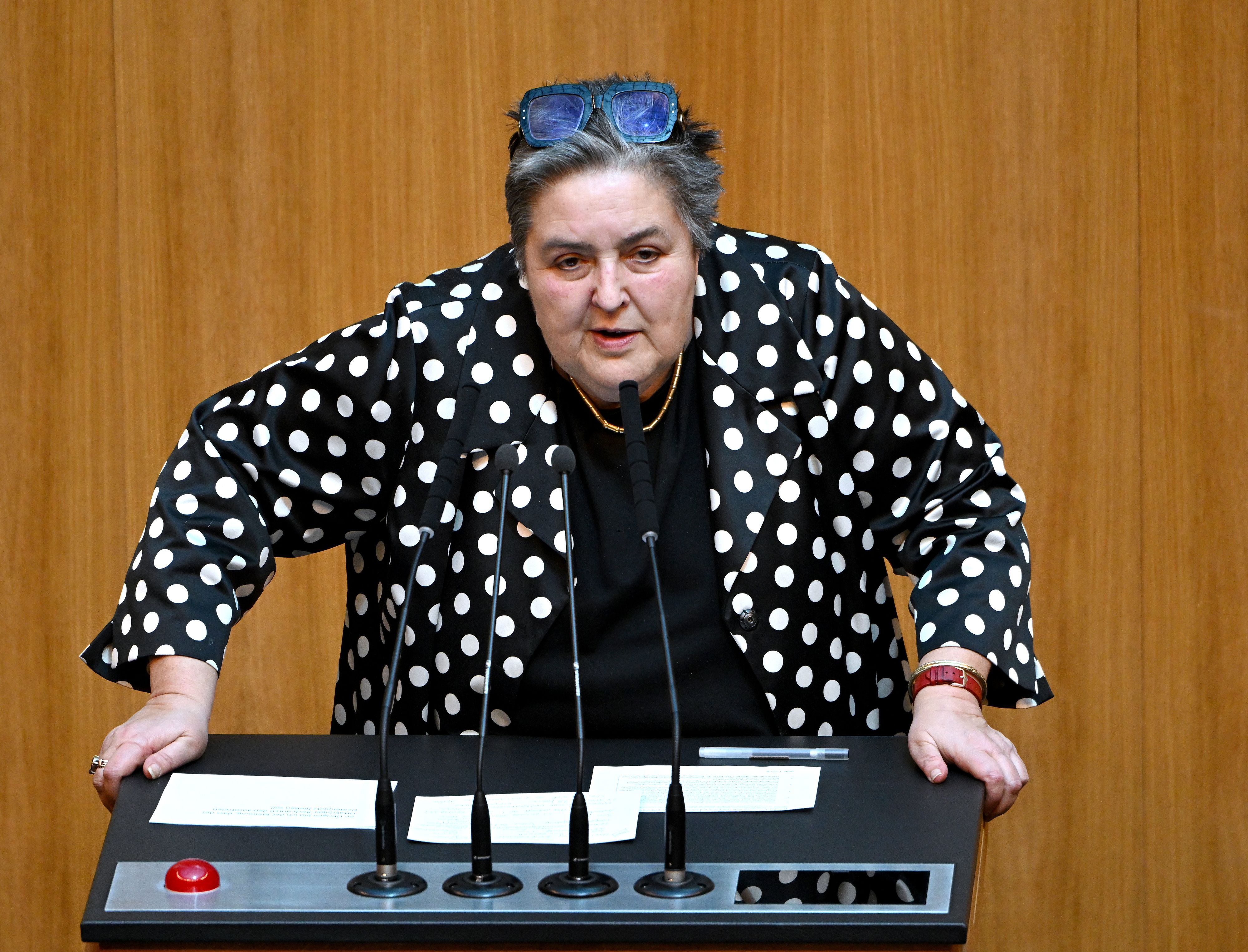 Die Historikerin und Mediensprecherin Eva Blimlinger gestand ein, dass ihr dieser Vergleich misslungen ist.