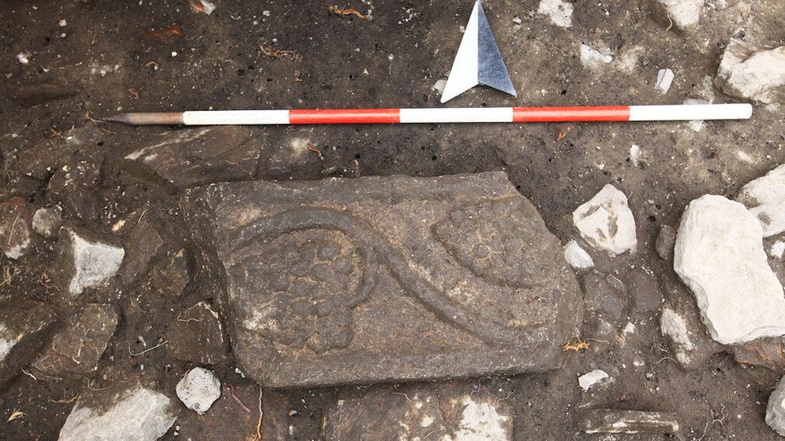 Bei einer archäologischen Probeuntersuchung im vergangenen Jahr wurde ein römerzeitlicher reliefierter Stein mit der Darstellung von Weintrauben auf einer Ranke gefunden.