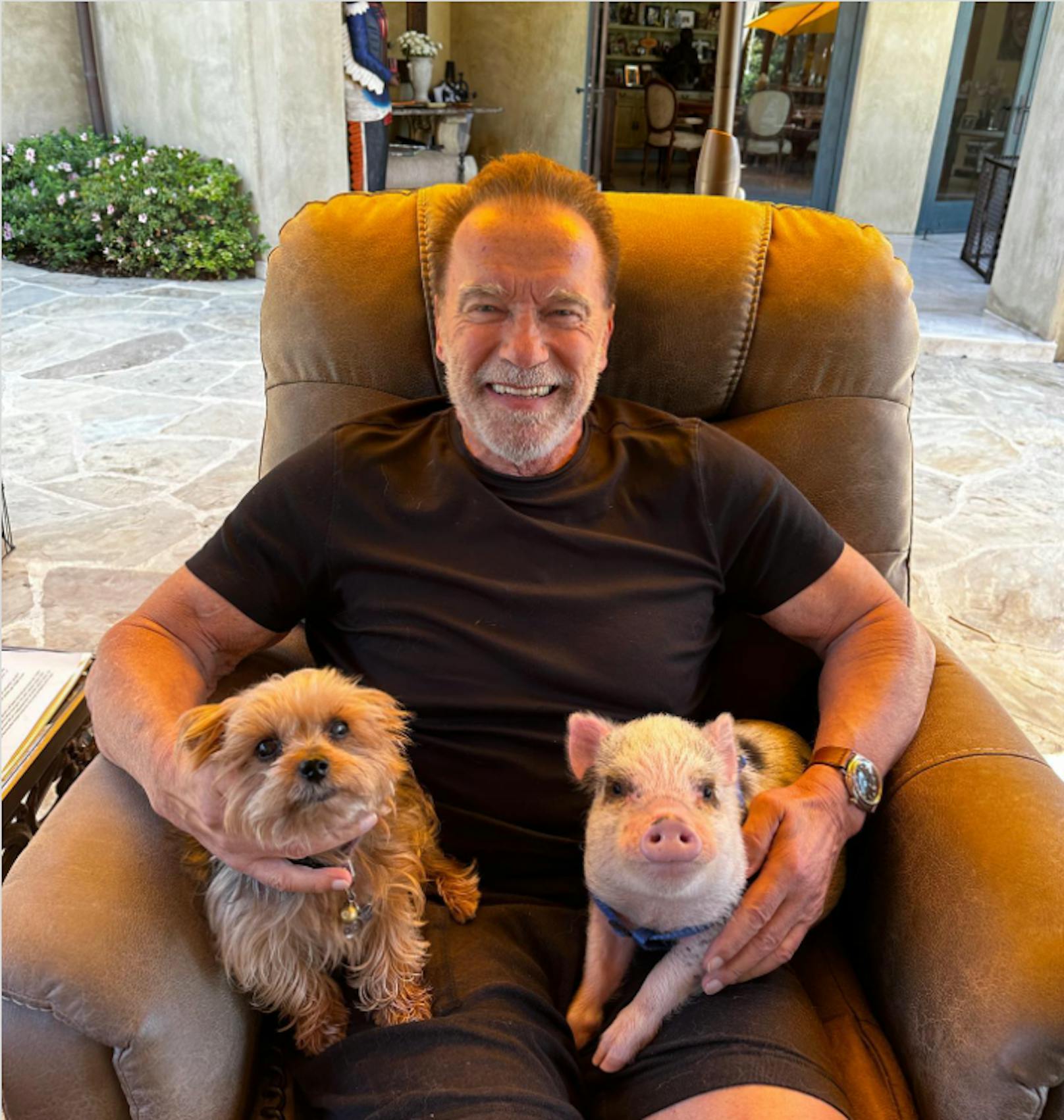 Arnold Schwarzenegger stellt Schweinchen "Schnelly" vor.