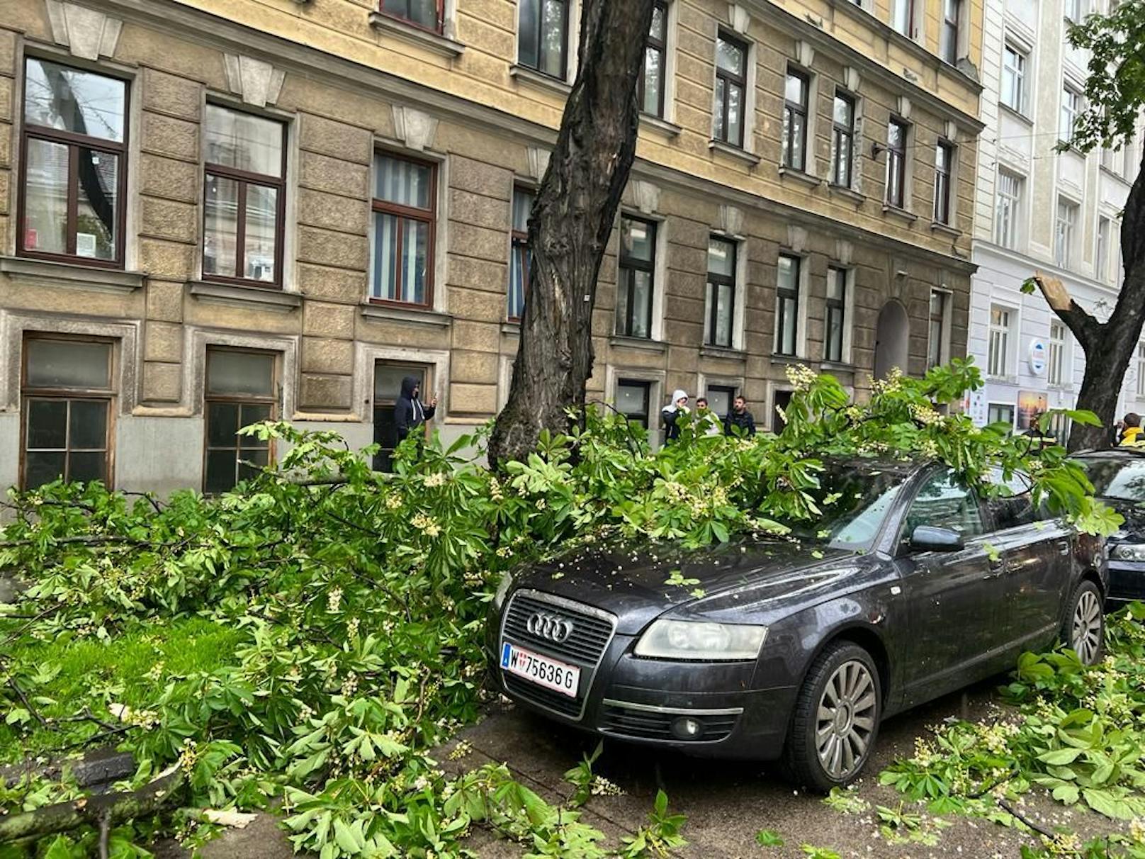 Ein "Heute"-Leser war live bei einem Einsatz der Berufsfeuerwehr dabei. 