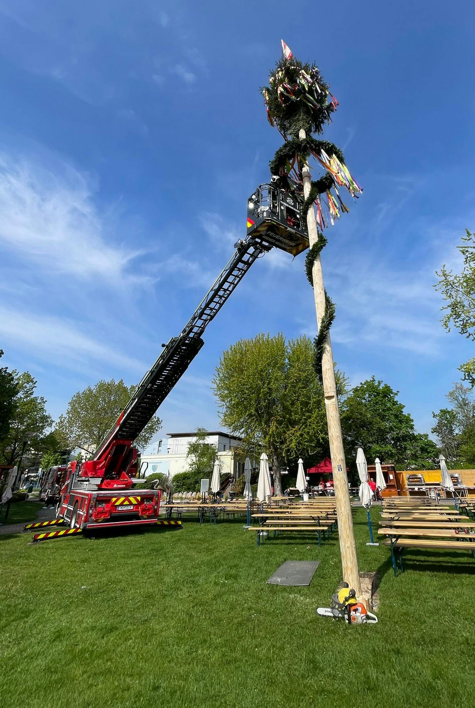 ... den Baum hoch und sägten zwei Keile in den Stamm.