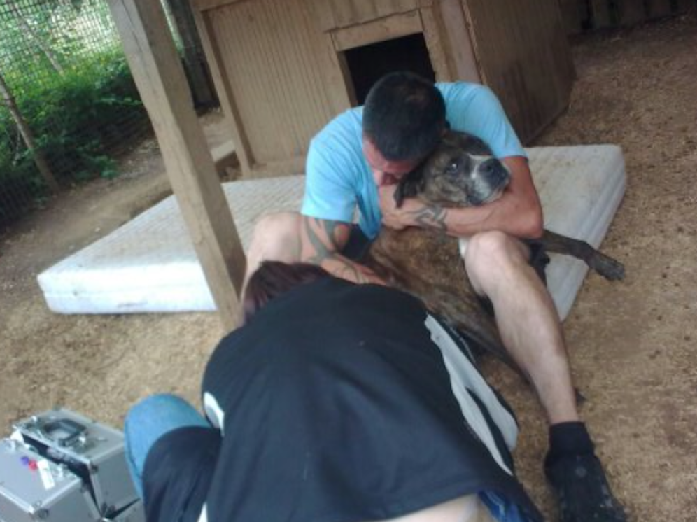 Alte und kranke Tiere dürfen am Gnadenhof ihren Lebensabend verbringen und werden bis zum Tod liebevoll begleitet.