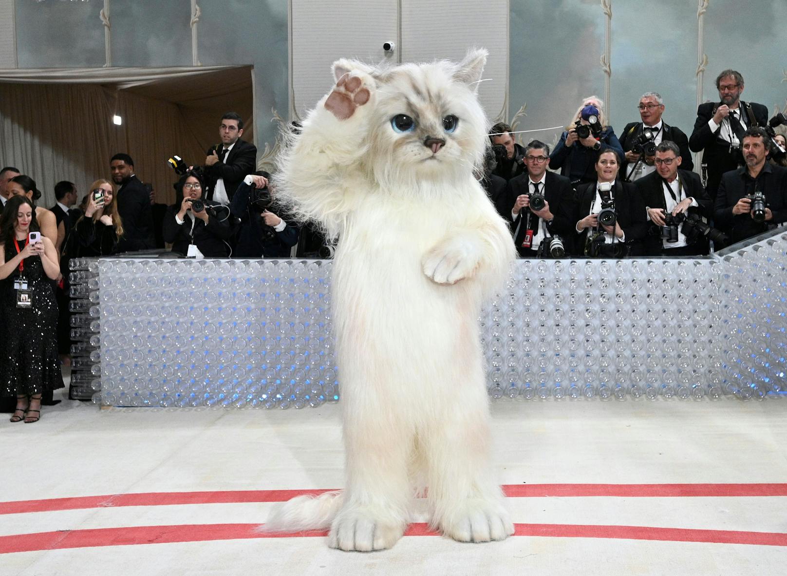 Die wichtigste Mode-Nacht des Jahres zu Ehren Karl Lagerfelds, da darf seine Katze Choupette nicht fehlen! Persönlich kam der Stubentiger zwar nicht, aber wer ersetzte sie?