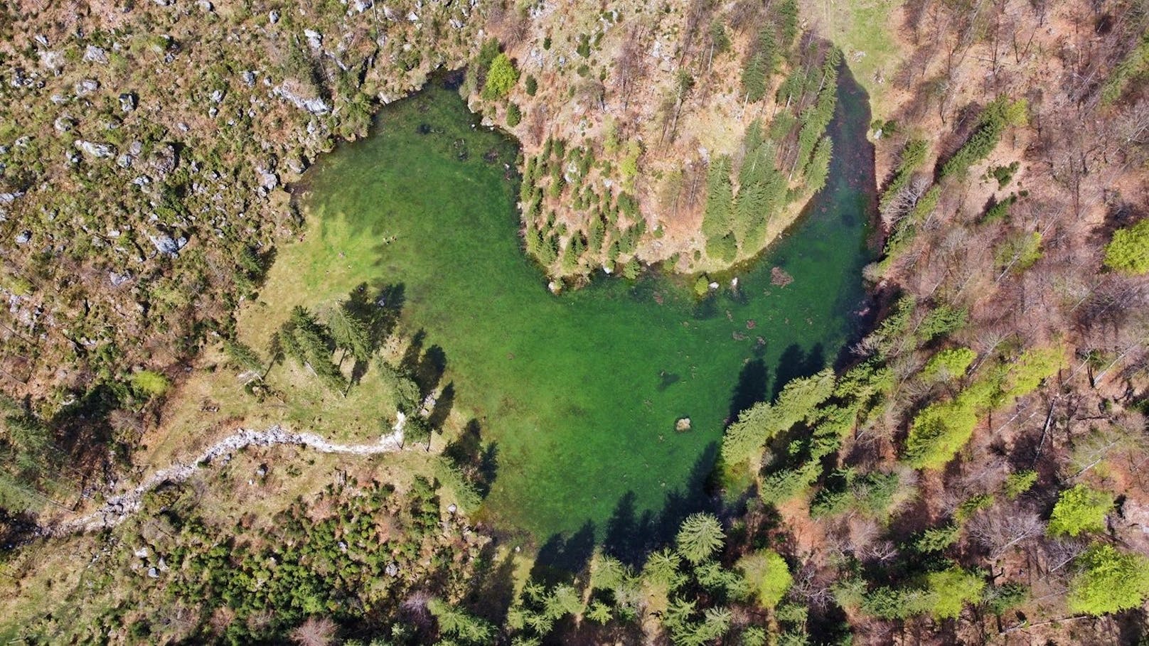 Der Wiesensee kann bis zu drei Meter tief werden.