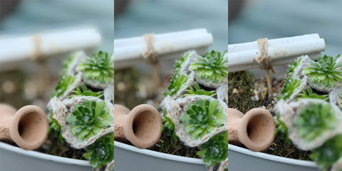 Gewaltiges Spiel mit der physischen (!) und digitalen Blende: Drei Mal das gleiche Motiv, aber jeweils mit einem anderen Fokus. Atemberaubend!