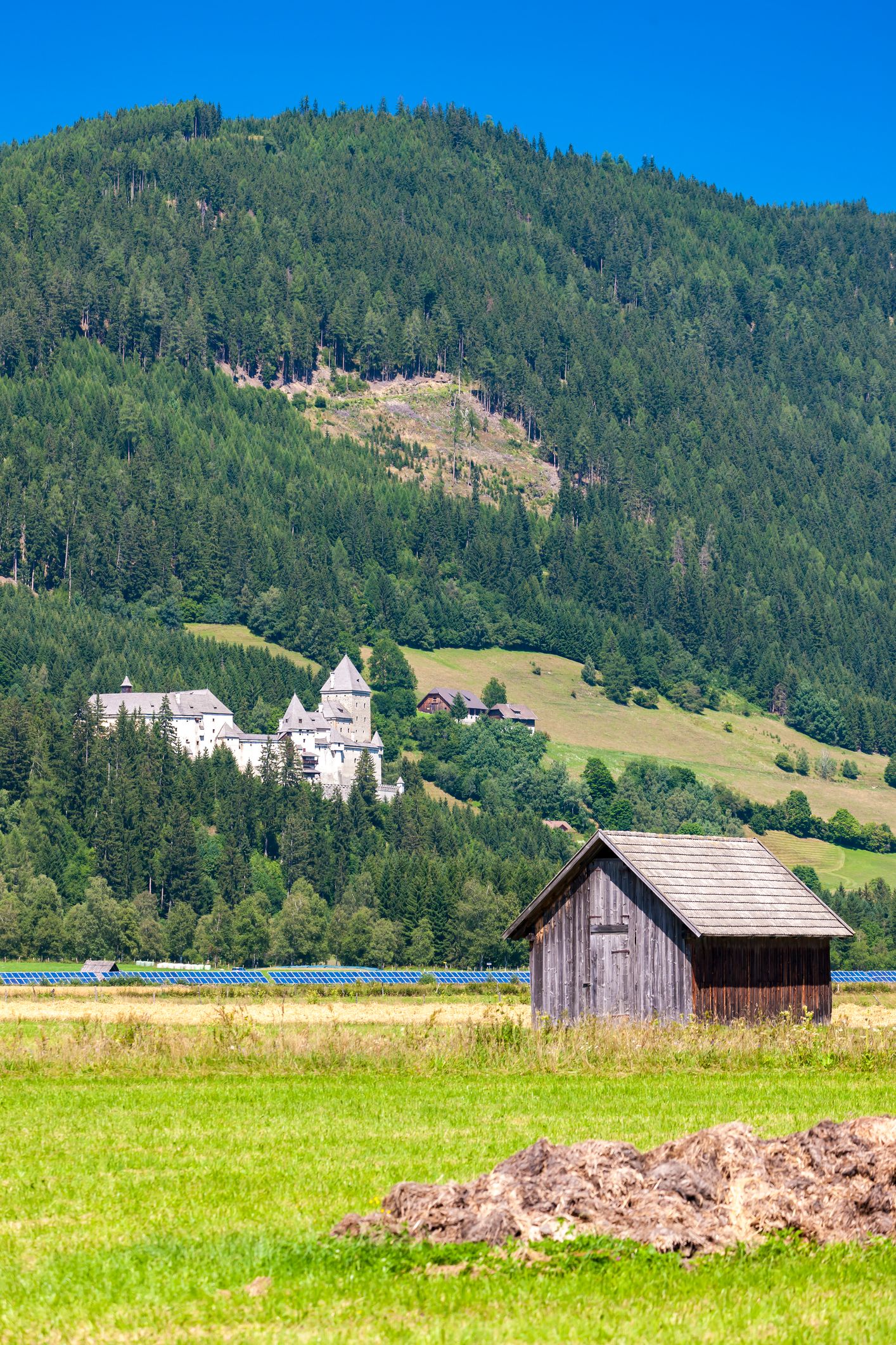 Die Klägerin kaufte eine mittelalterliche Burg im Wald und wollte die Bäume wegklagen. Der OGH erteilte ihr eine Abfuhr.