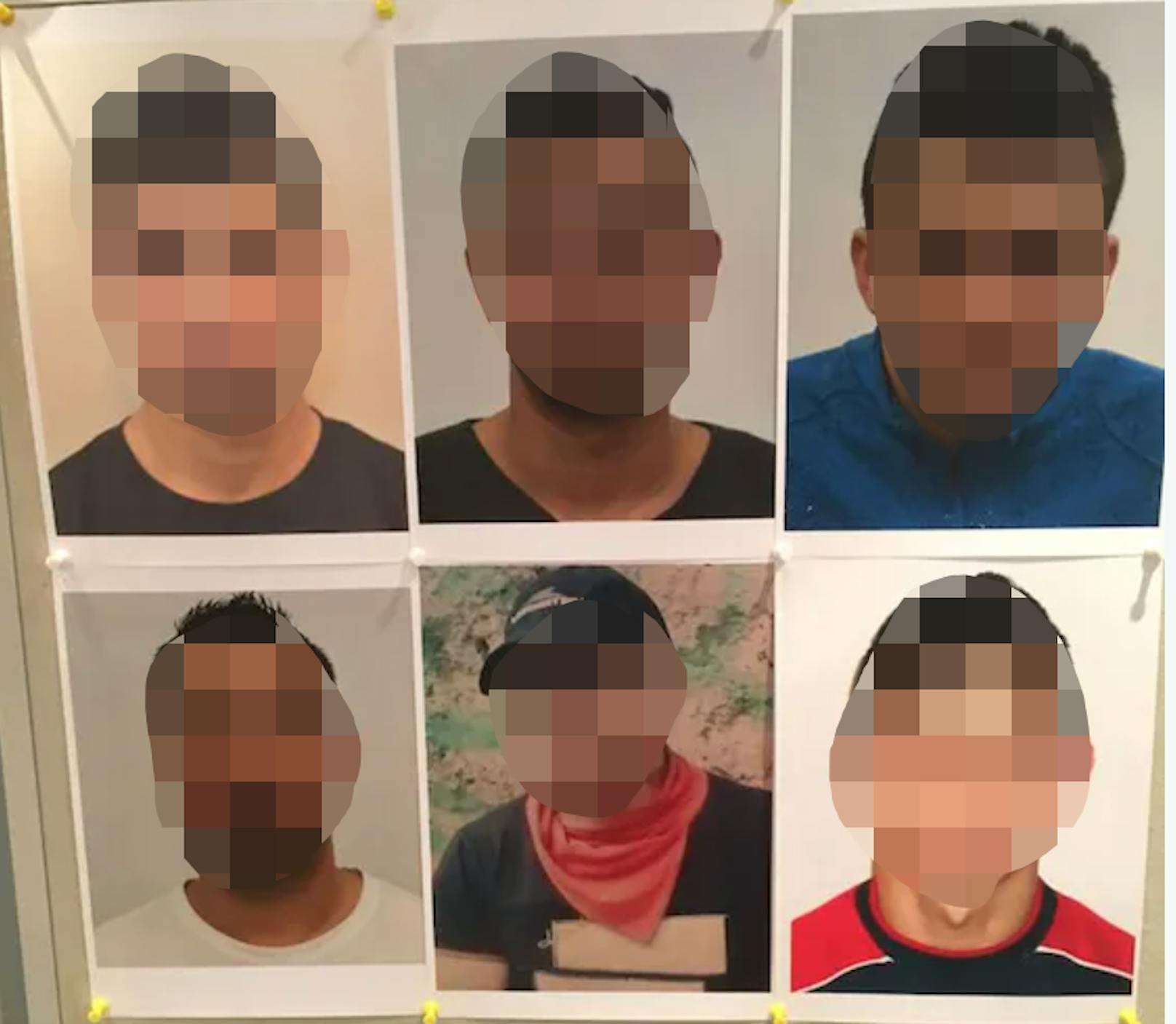 Sechs der sieben Männer der Brutalo-Bande waren geschnappt worden. Der Hauptverdächtige (35) wurde erst am Samstag in Wien gefasst.&nbsp;