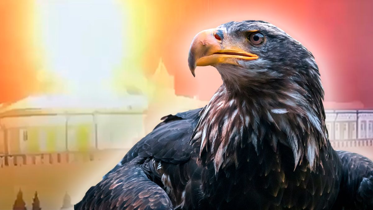 Die russische Staatsduma will mit einem Abfangadler-Geschwader künftig den Kreml vor Drohnen schützen.