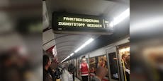 Wienerin drückt Zug-Notstopp, sorgt für Öffi-Chaos