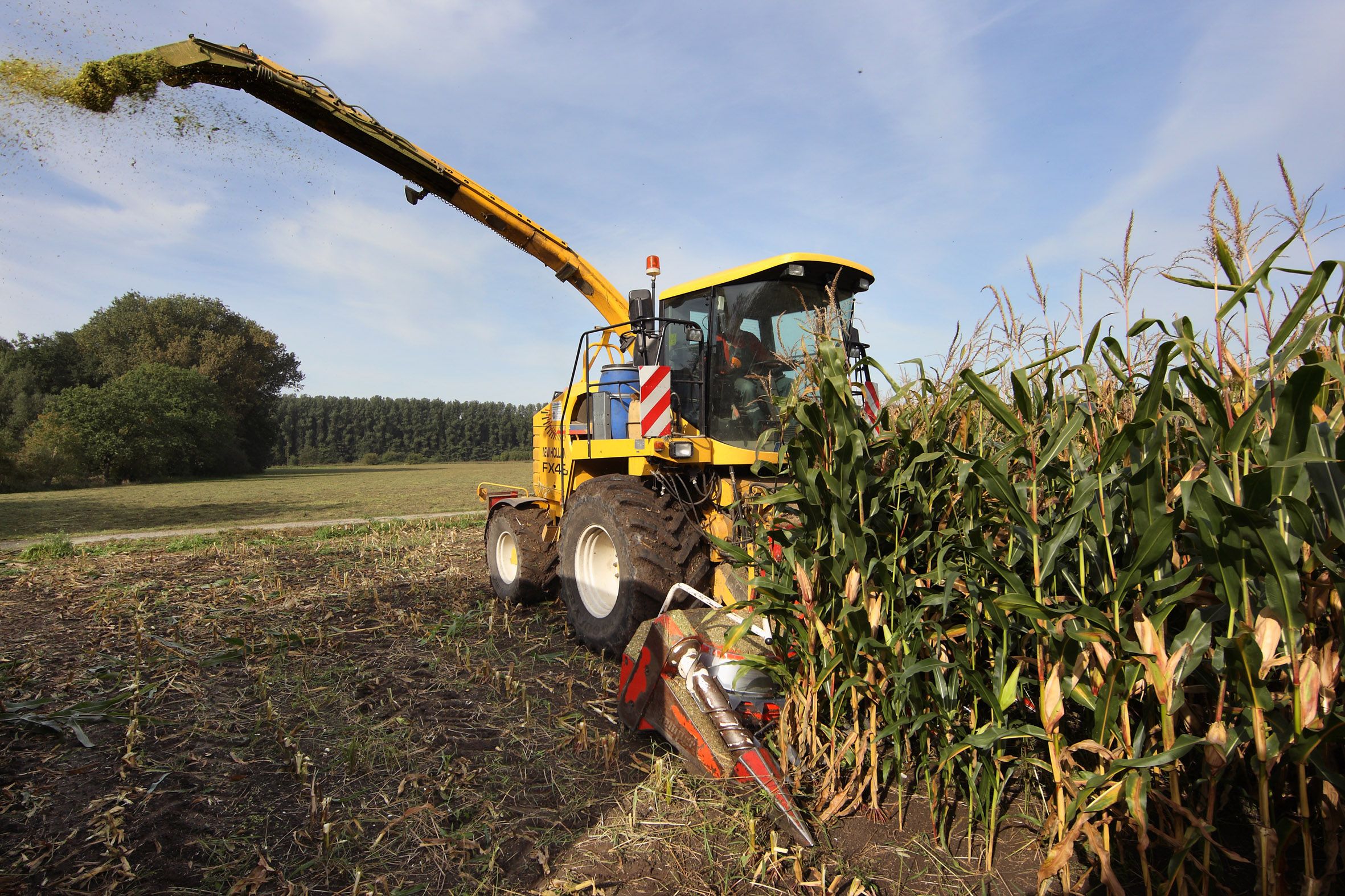 Das sechs Monate alte Baby wurde von einem Maishäcksler überfahren und getötet.