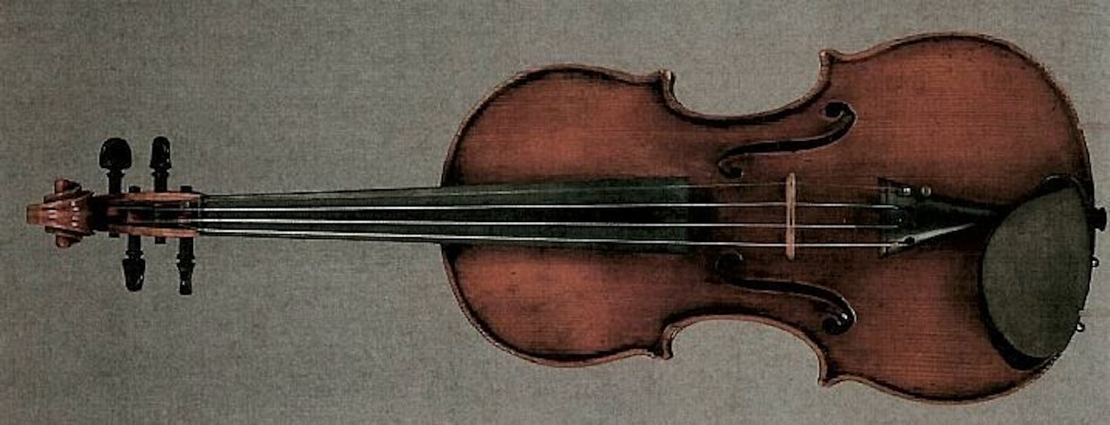 Diese Geige im Wert von 80.000 Euro wurde im Zug vergessen.
