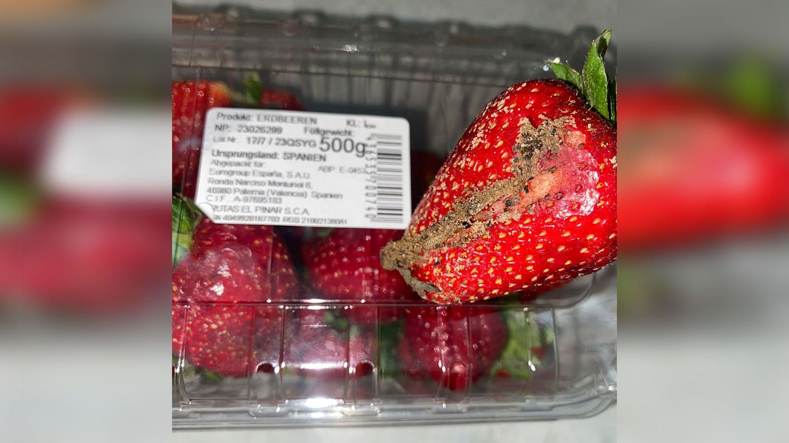 Supermarkt-Aktion mit Erdbeeren voller Maden