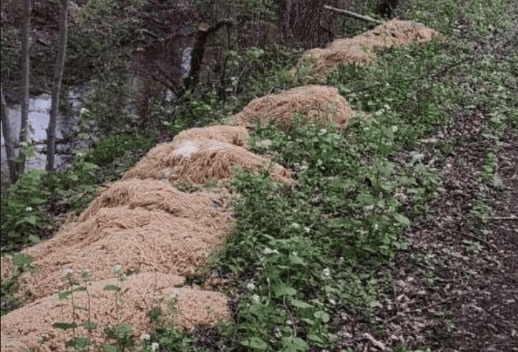 Ein Mann entsorgte, offenbar aus Überforderung, über 200 Kilo Nudeln im Wald.