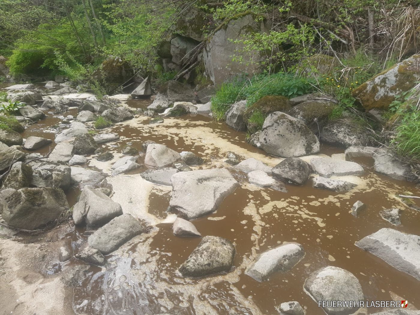 Tausende Liter Jauche flossen in den Feistritzbach. Die Feuerwehr Lasberg war im Dauereinsatz.