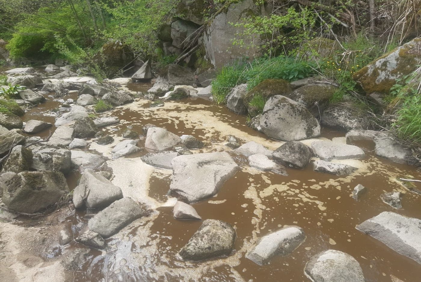 Ganze 17.500 Liter Jauche flossen in den Feistritzbach. Die Feuerwehr Lasberg war im Dauereinsatz.