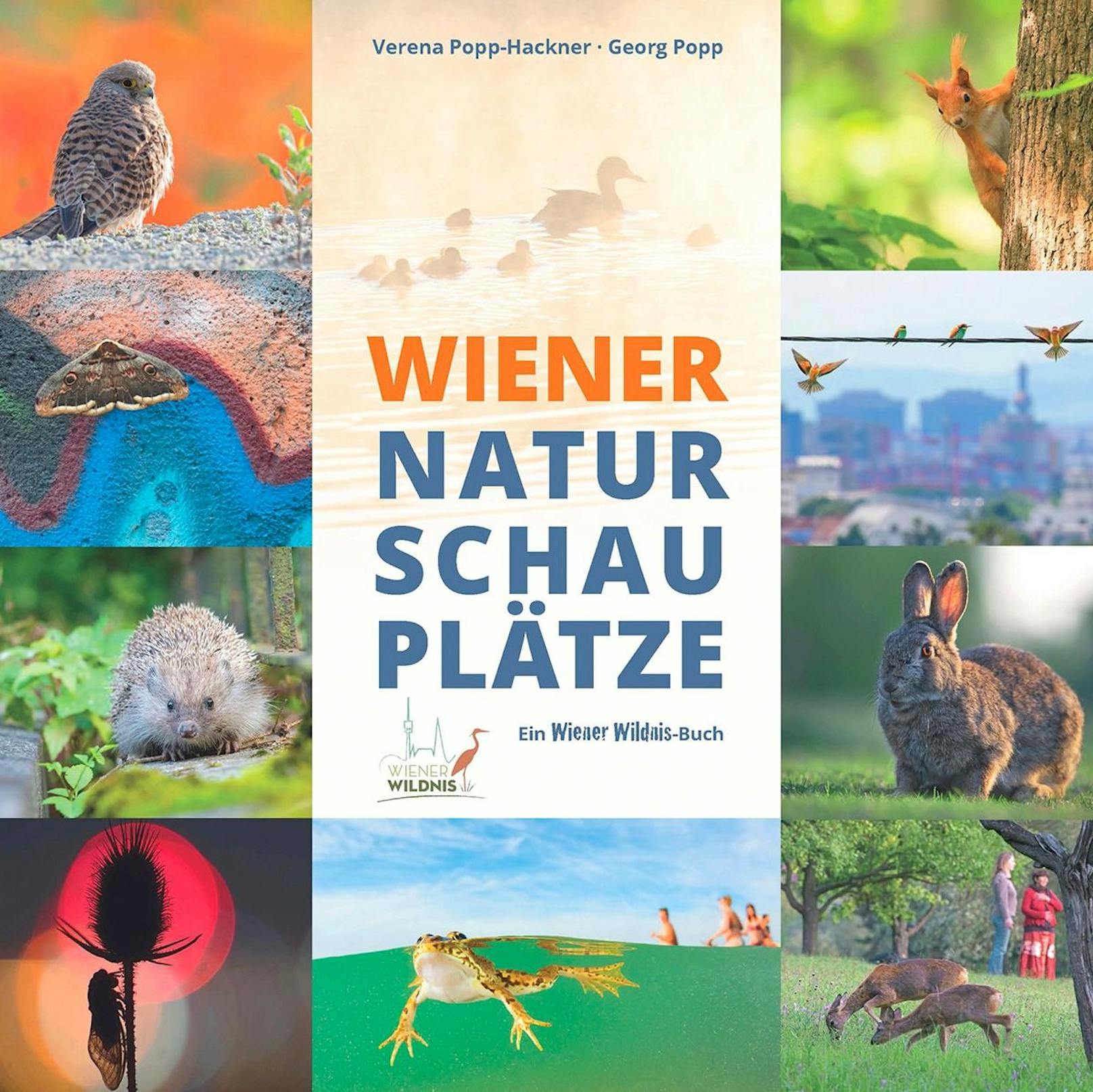 In einem Bildband entführt Wiener Wildnis zu Wiener Naturschauplätzen. Das Buch zeigt 50 Ausflugsziele in Wien, die allesamt ein Naturerlebnis versprechen. 