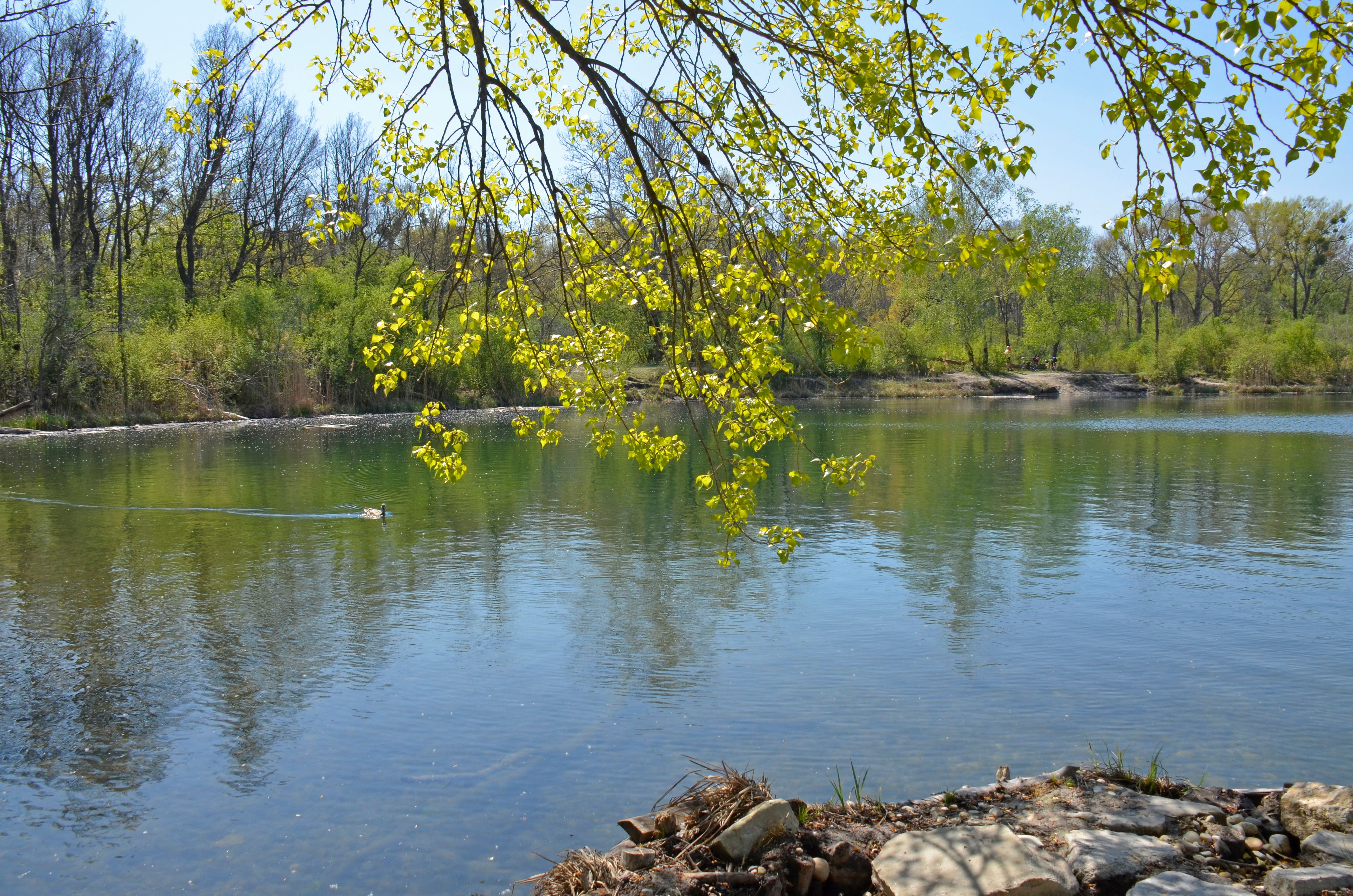 Es keucht und fleucht im Donau-Auen-Nationalpark. 