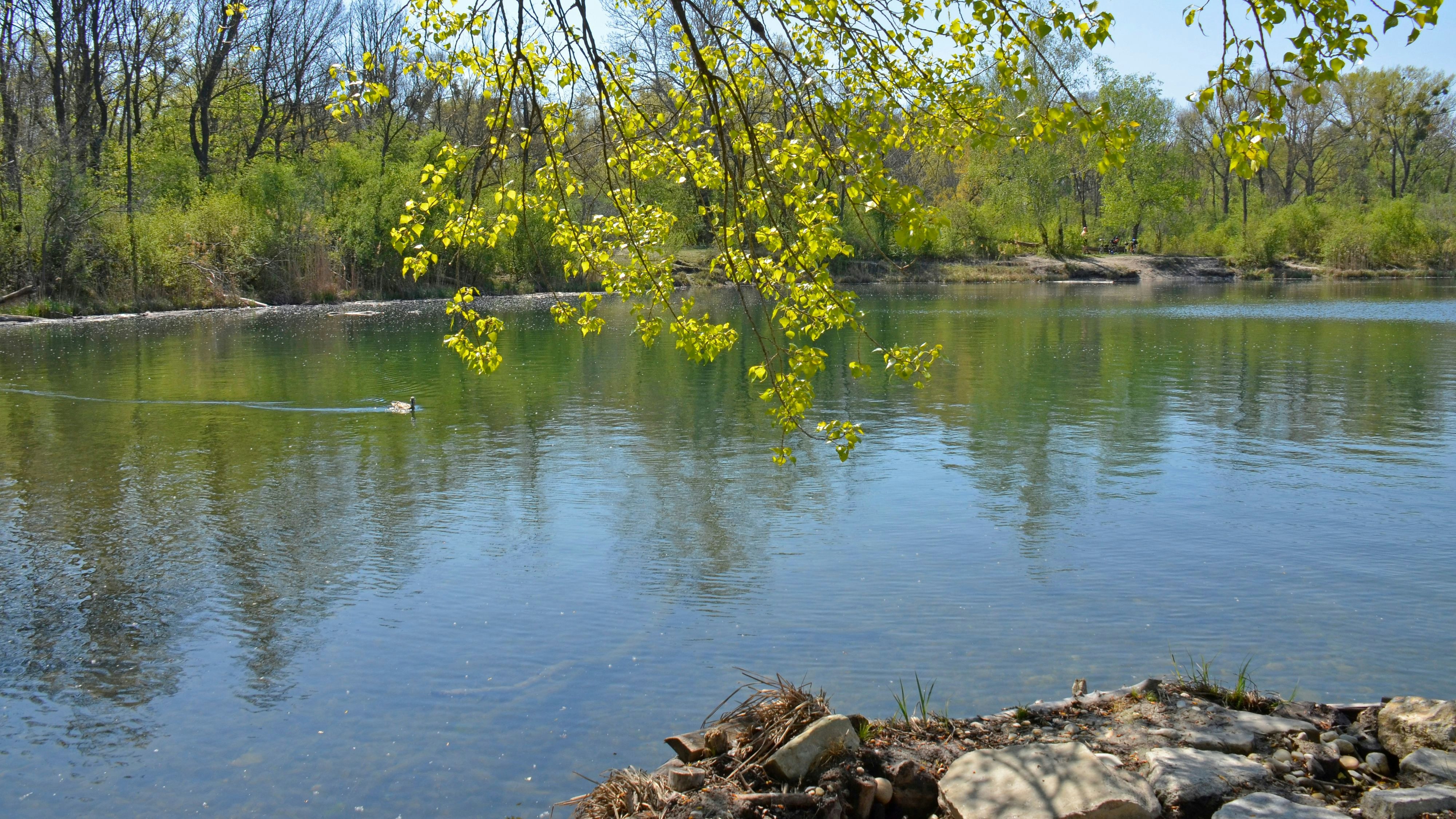 Es keucht und fleucht im Donau-Auen-Nationalpark. 
