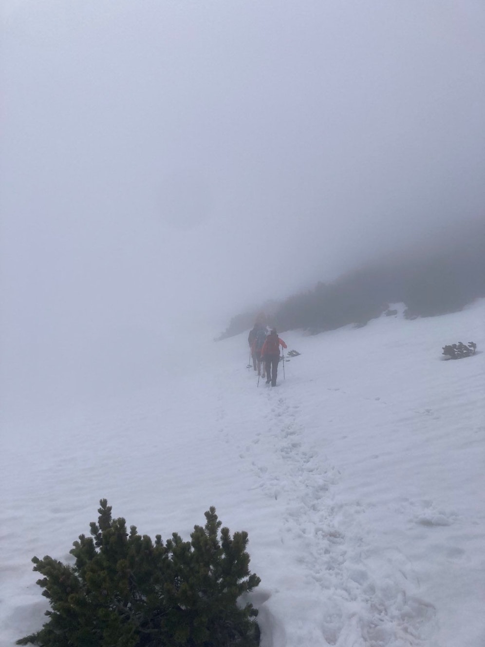 Auf der Rax herrschten schwierige Wetterbedingungen.