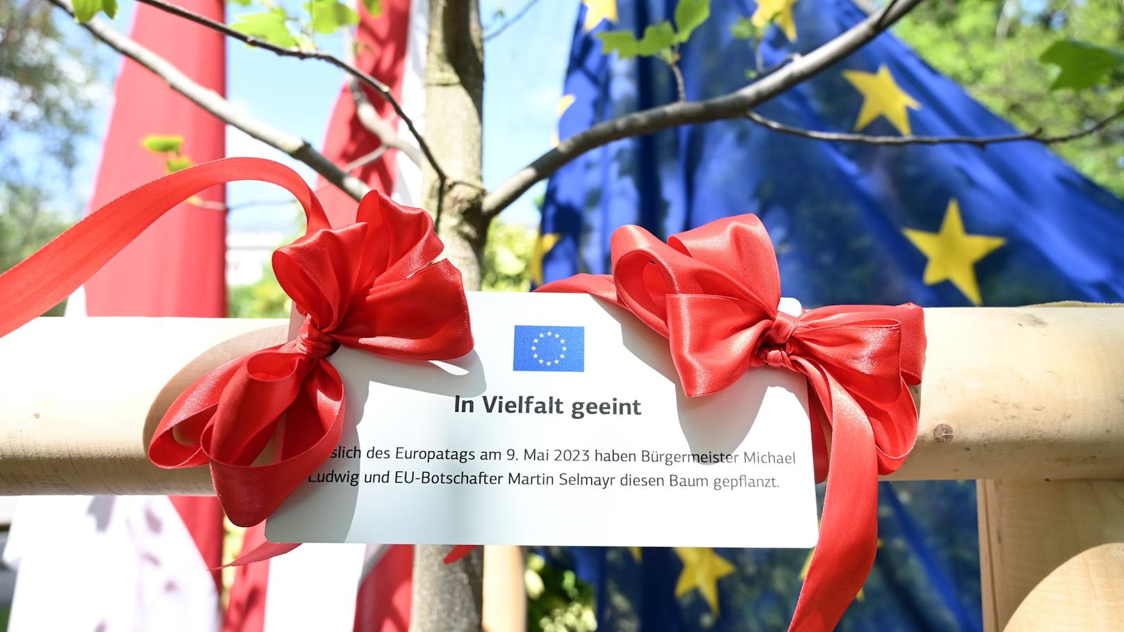 Europatag am 9. Mai: Symbolische Baumpflanzung im Rathauspark