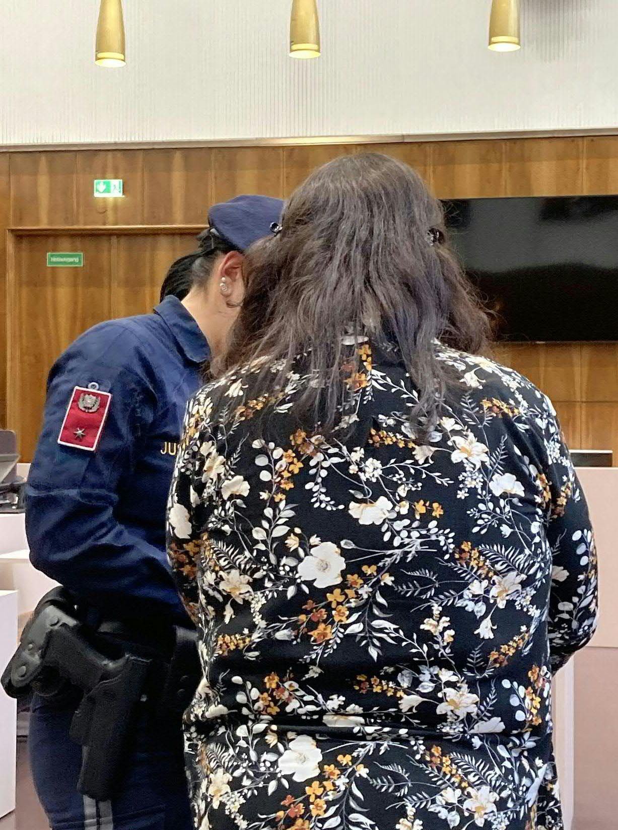 In Graz ist am Dienstag eine 42-Jährige vor Gericht gestanden, die ihren damals vierjährigen Sohn mit einem Küchenmesser schwer verletzt hat. 