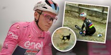 Hund löste Crash bei Giro-Chaos-Etappe aus