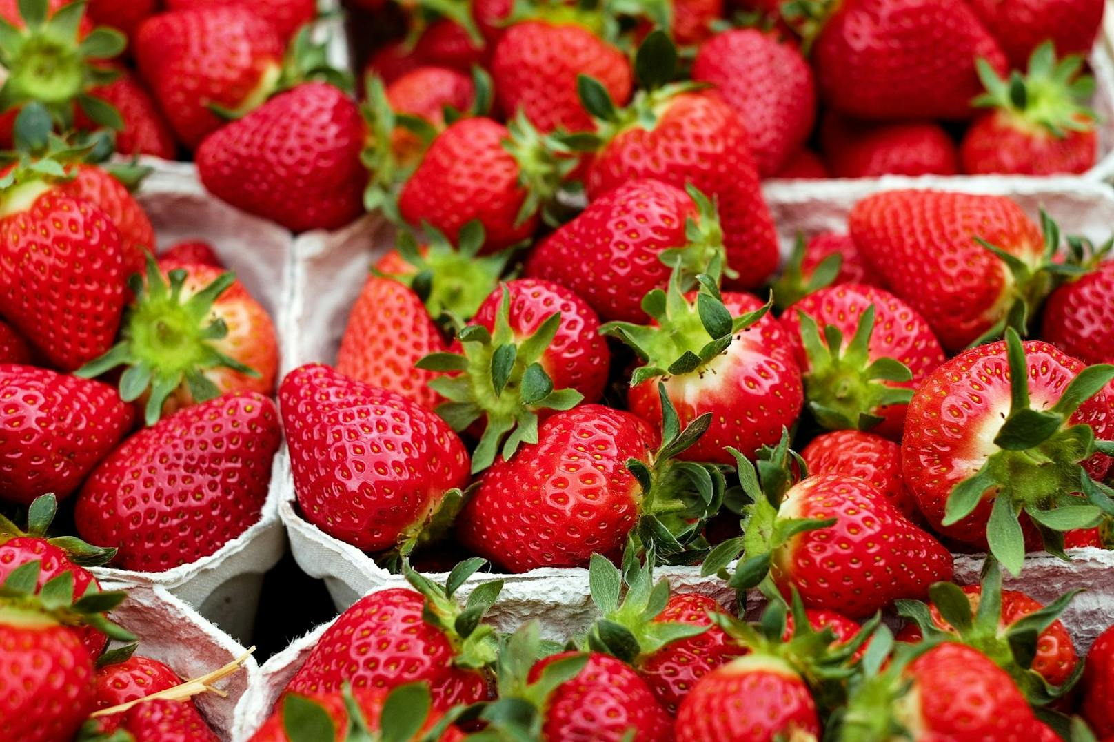 Heimische Erdbeeren sind im Freiland im Juni und Juli erntereif (Symbolfoto).