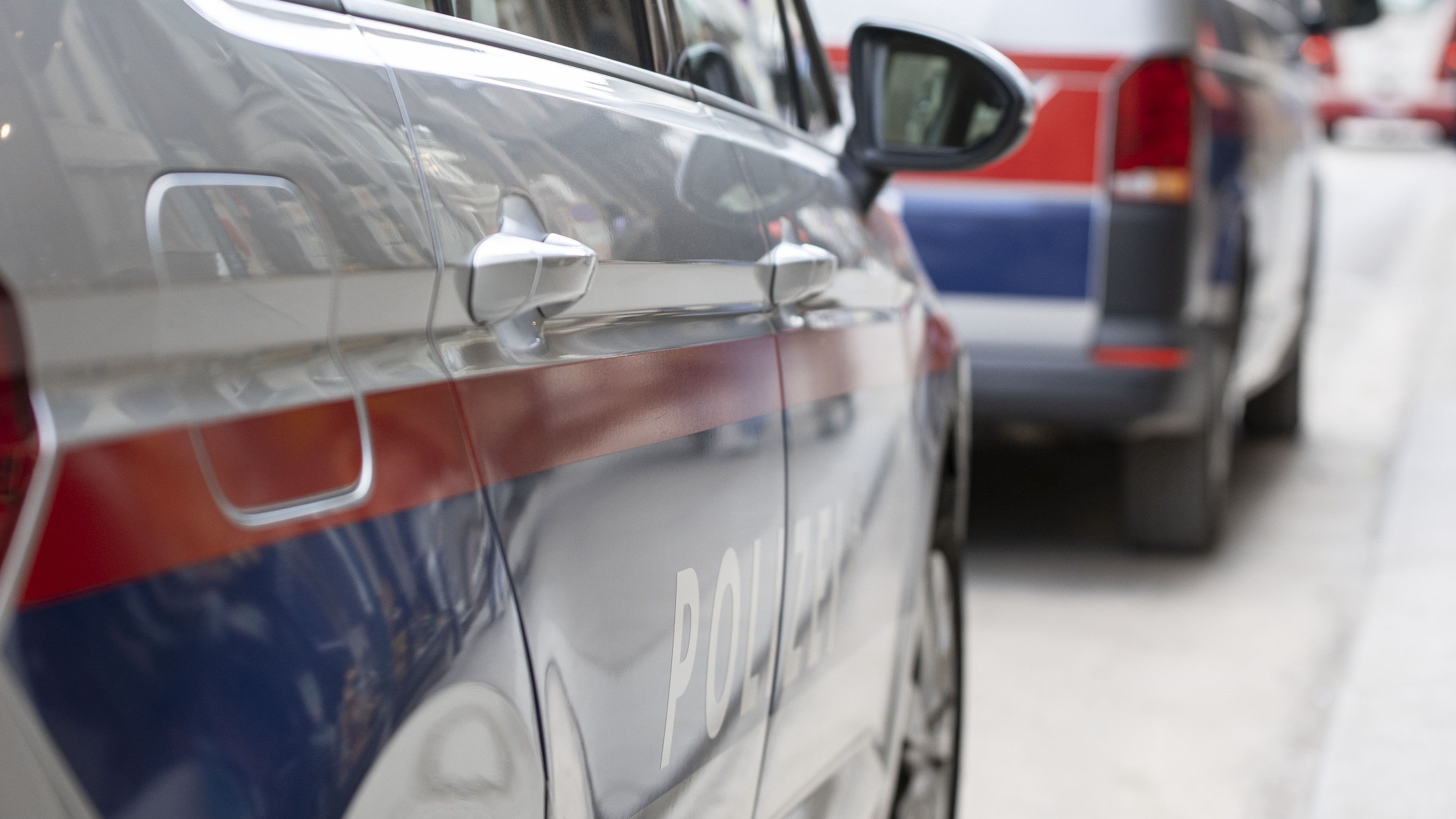 Nach umfangreichen Ermittlungen konnte die Polizei eine unmündige Tatverdächtige ausforschen. 