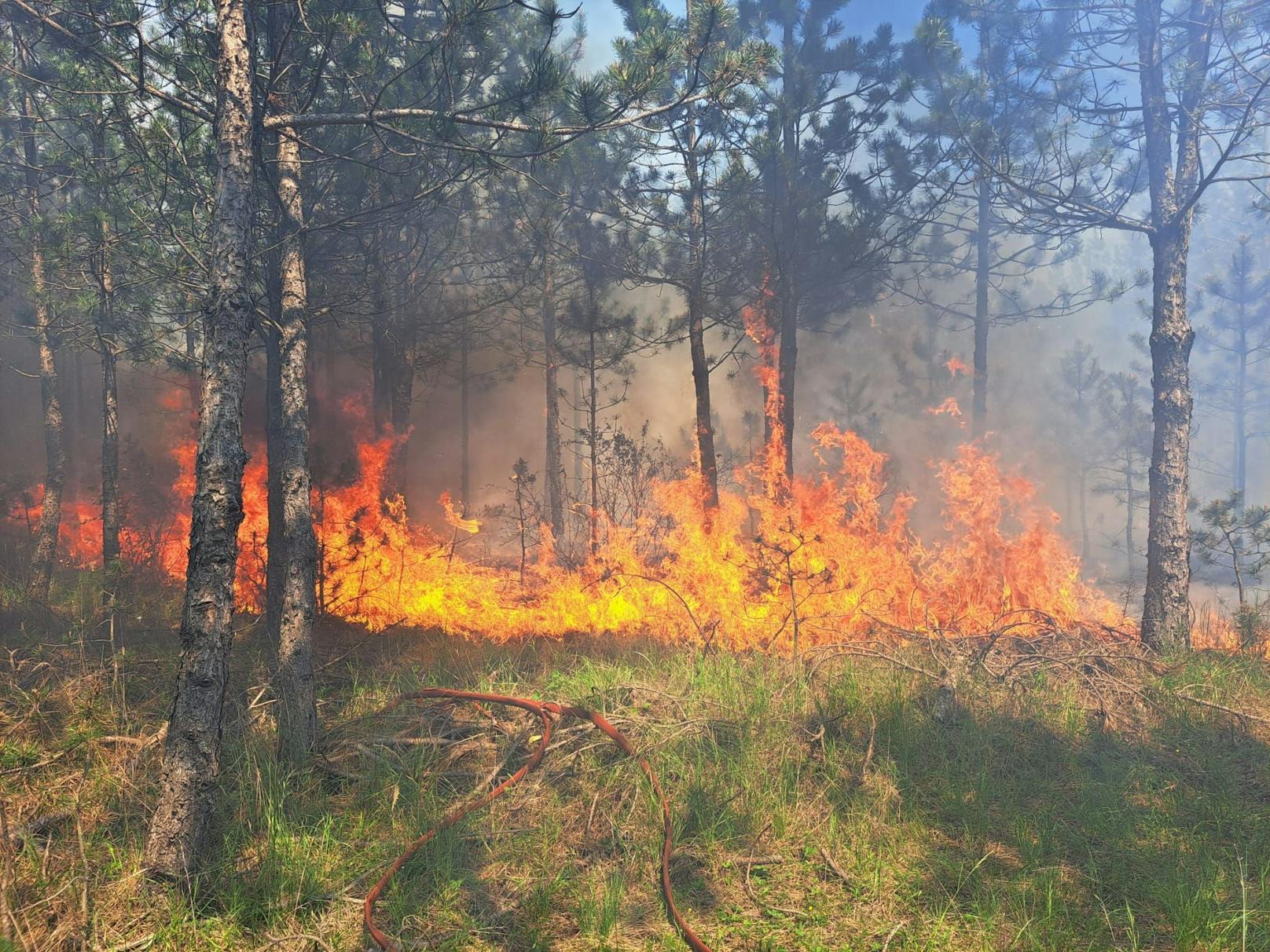 Das Feuer breitete sich rasch aus.