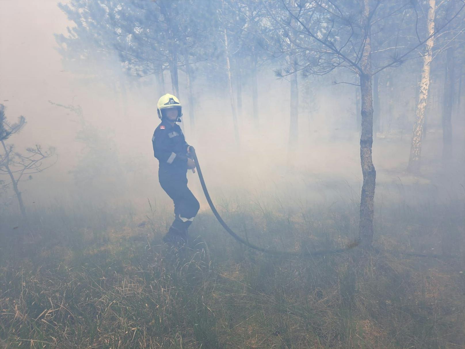 Die Feuerwehr im Löscheinsatz