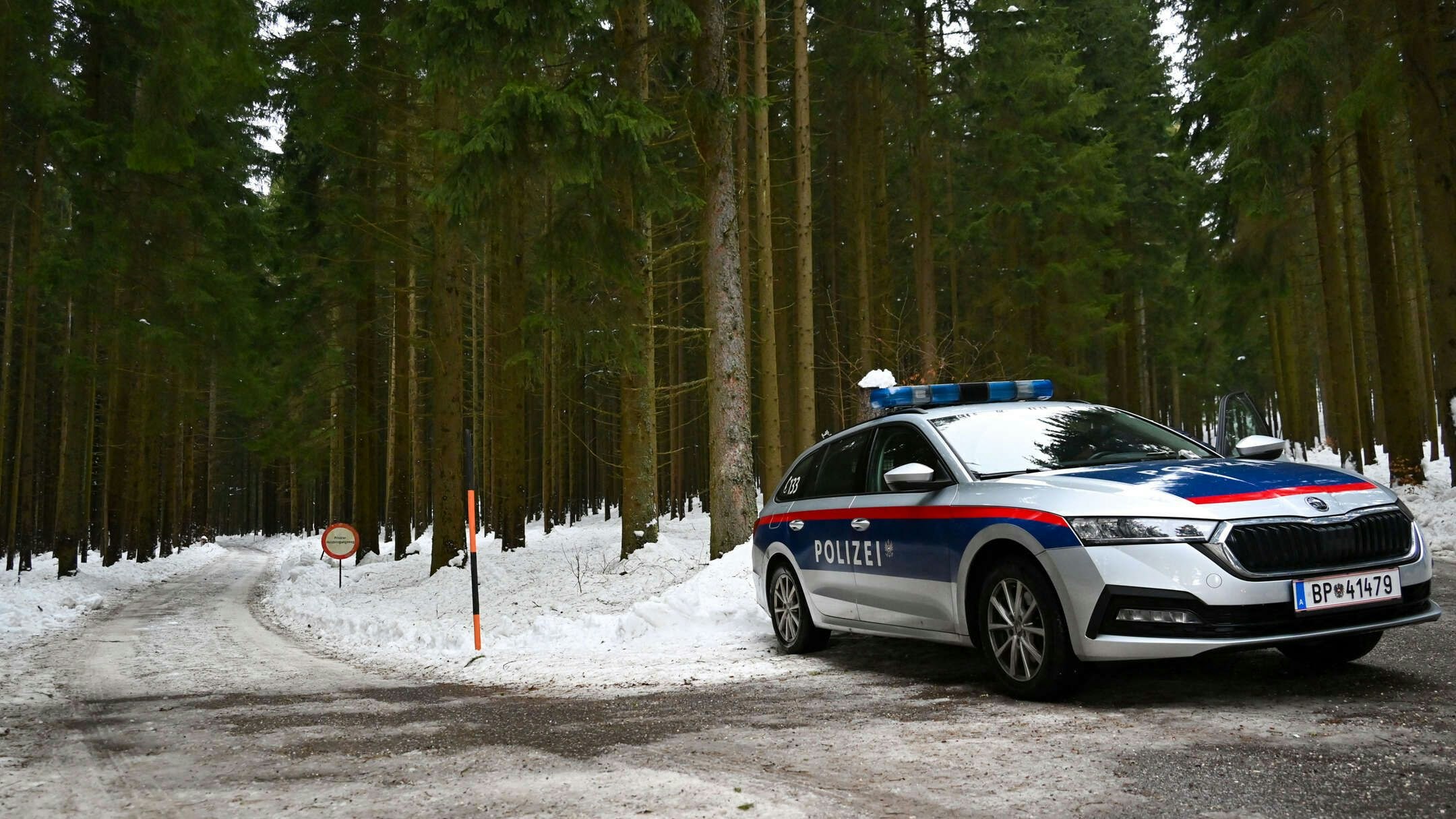 Ein Autofahrer fand die Leiche im Februar in diesem verschneiten Waldstück.
