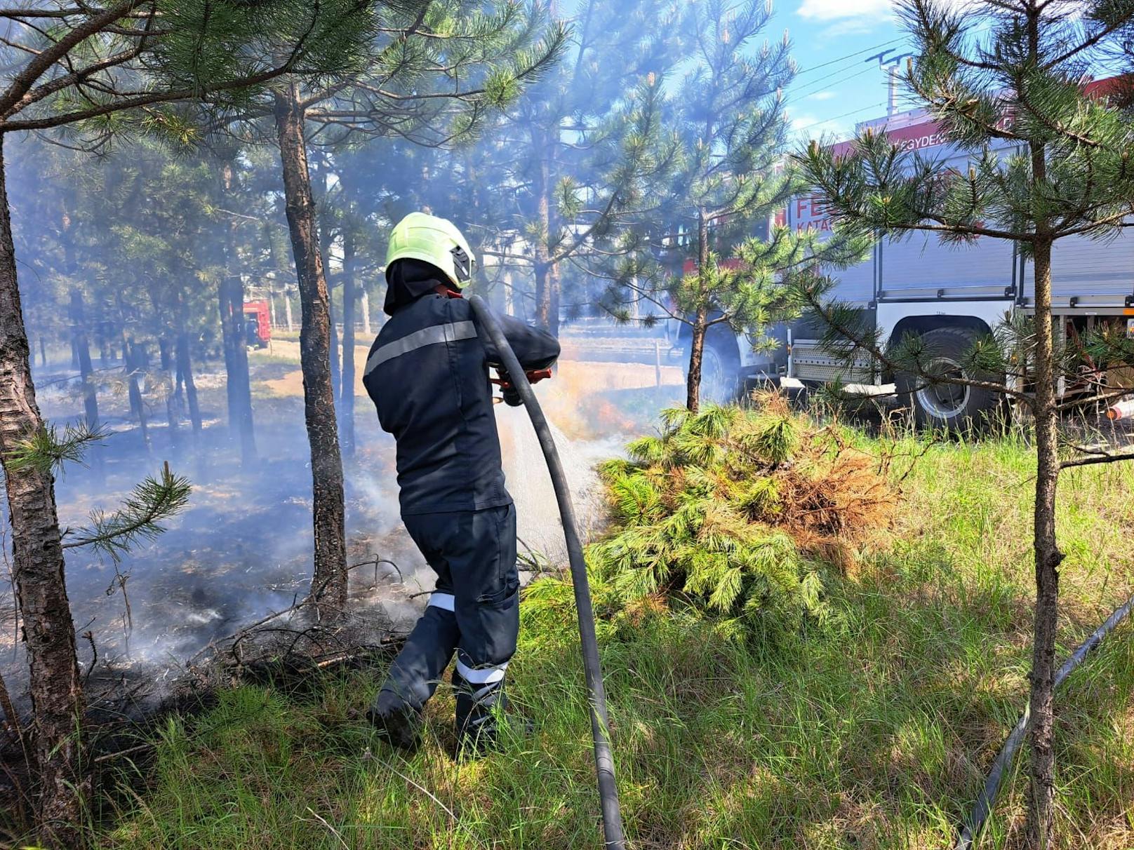 Waldbrand im Föhrenwald forderte zehn Feuerwehren