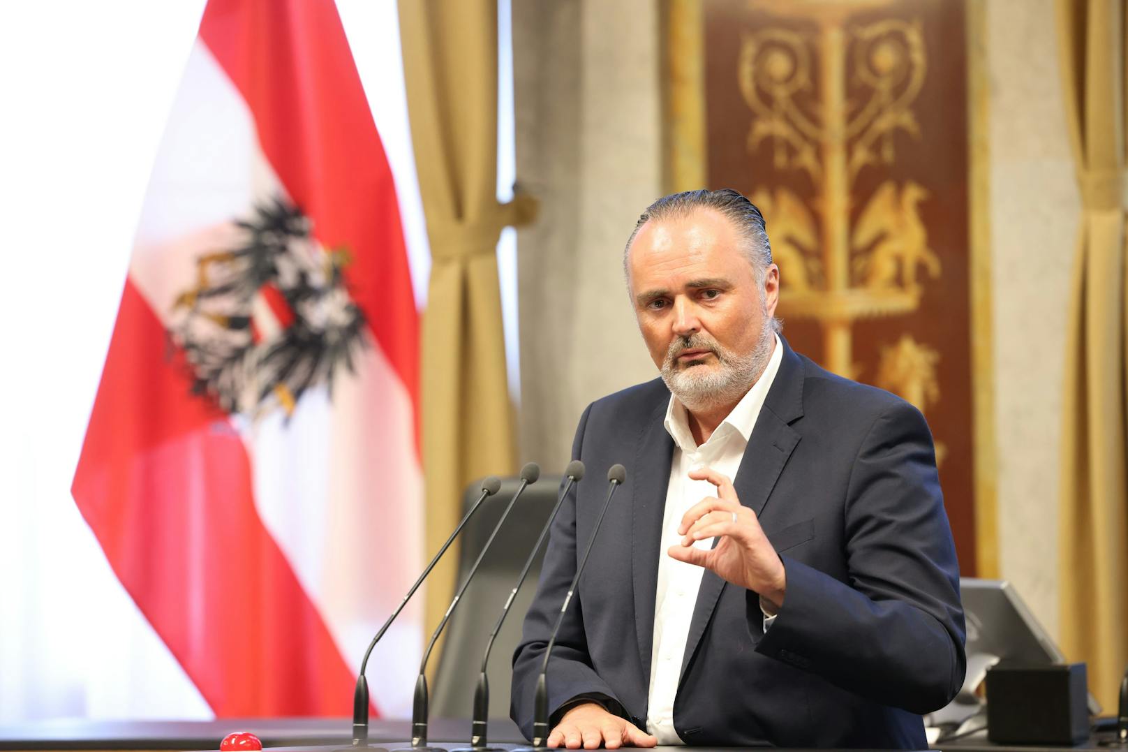 Mächtige Landesgruppe fordert Doskozil als Parteichef