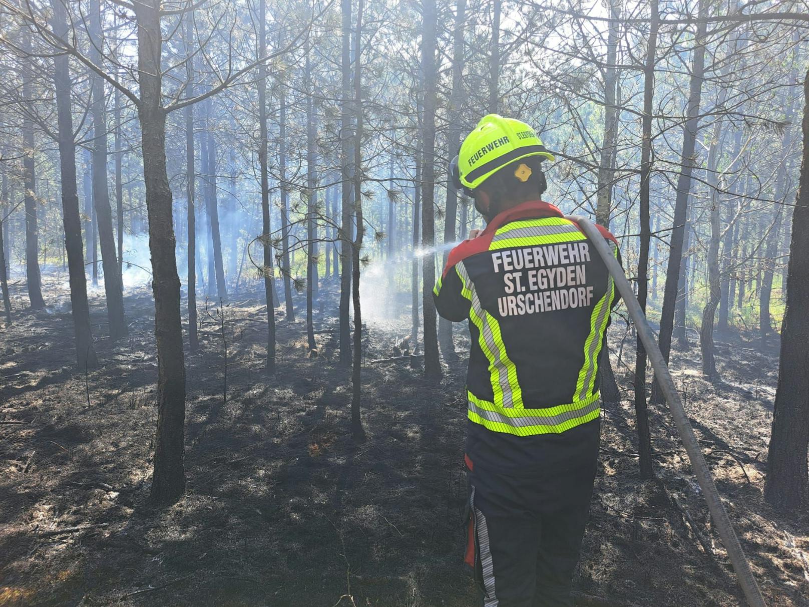 Waldbrand im Föhrenwald forderte zehn Feuerwehren