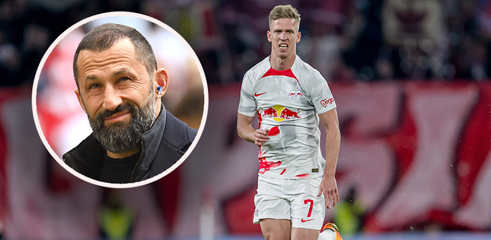 Dani Olmo steht bei den Bayern auf dem Zettel. 