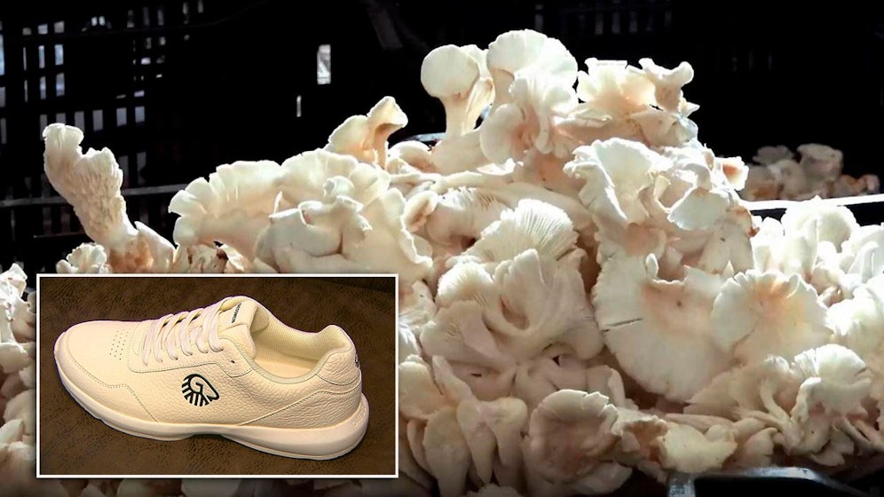 Giesswein produziert jetzt Schuhe aus neuartigem, veganem Leder: aus Austernpilzen.