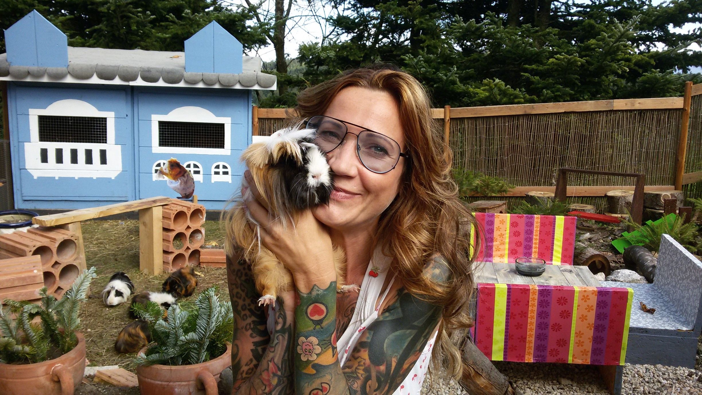 Die 47-jährige Birgit Bravo kümmert sich um rund 40 Meerschweinchen. Einige davon verbringen ihren Lebensabend bei ihr.&nbsp;