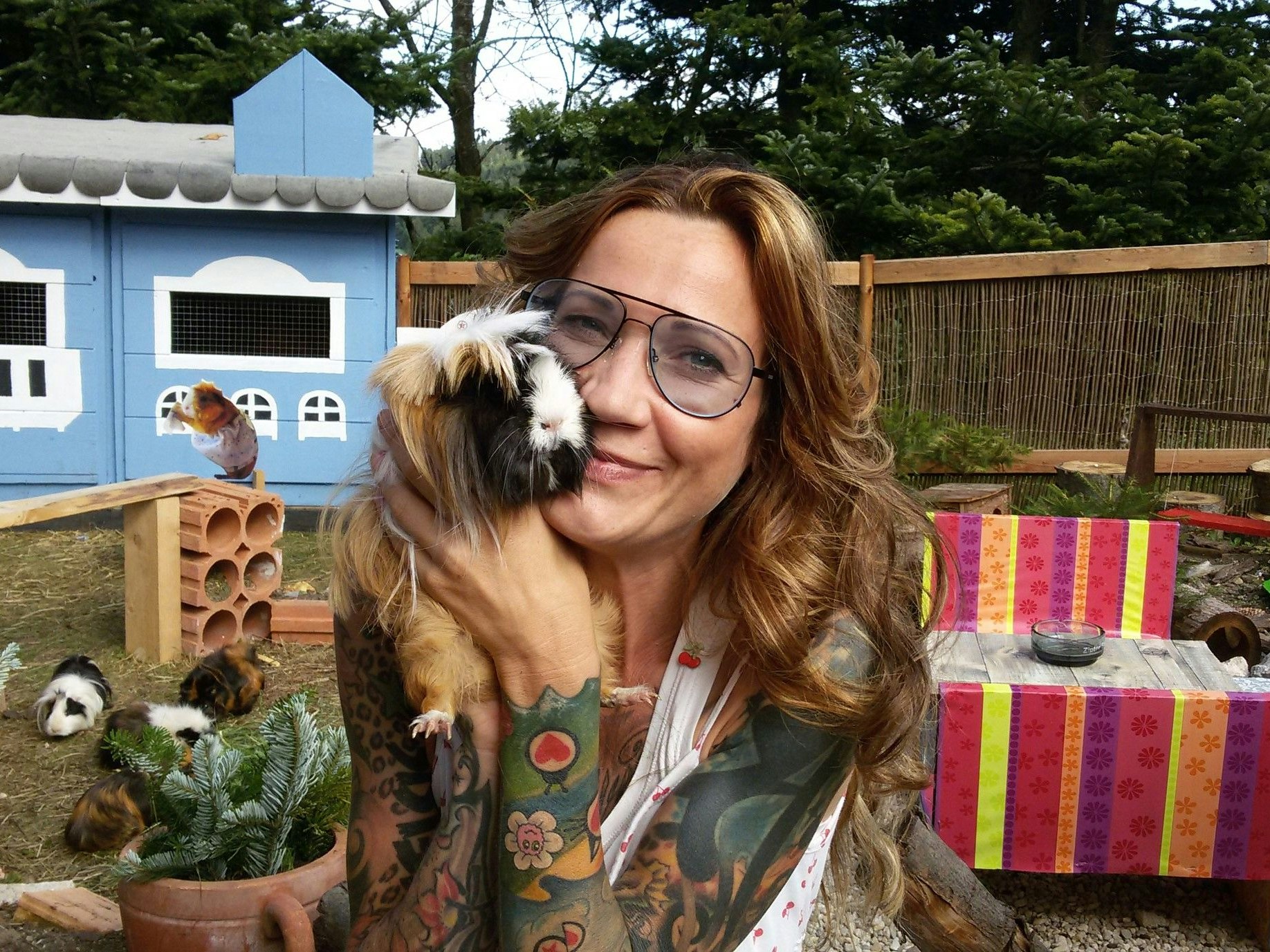 Die 47-jährige Birgit Bravo kümmert sich um rund 40 Meerschweinchen.