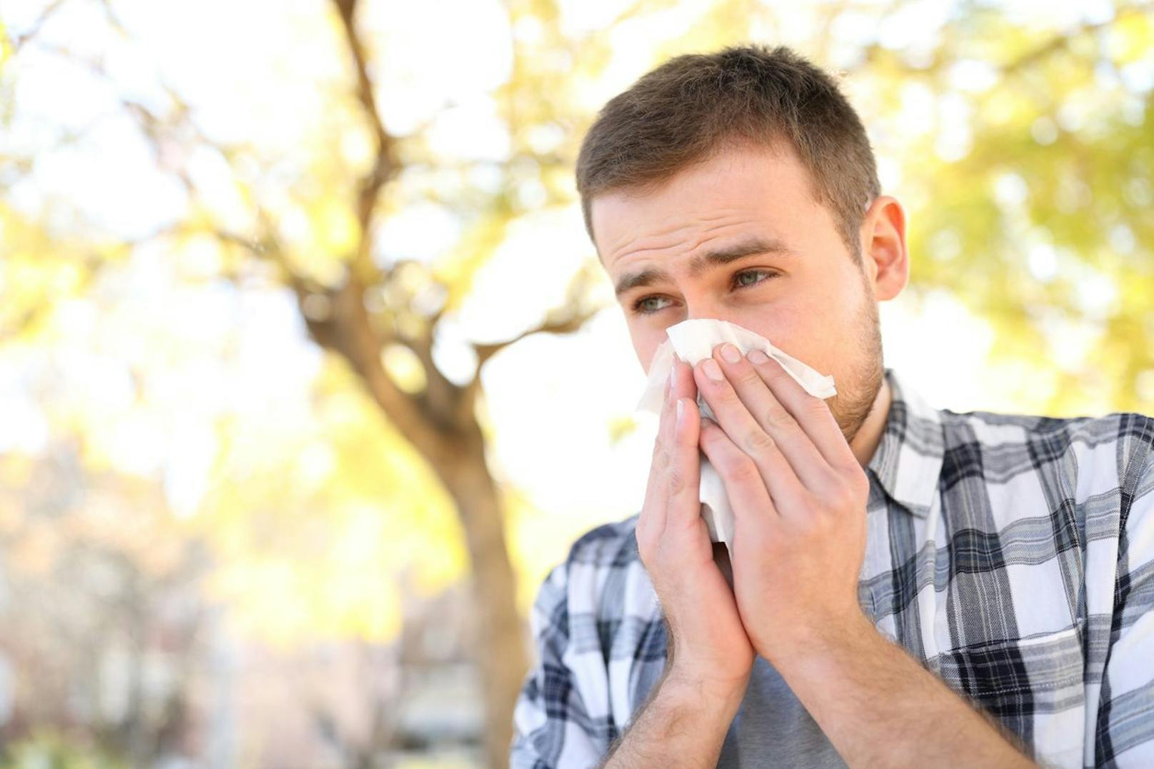 Allergiker haben es Anfang Frühling auch schwer. Denn wenn alles wächst und blüht führt das zu mehr Pollen in der Luft und die allergieauslösenden Blüten erschweren den Betroffenen das Leben. Wer Unglück hat muss sogar bis August oder September mit seinem Allergieproblem kämpfen. 