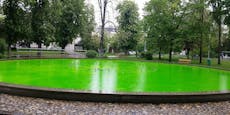 Klima-Protest! Aktivisten färben Brunnen in Krems grün