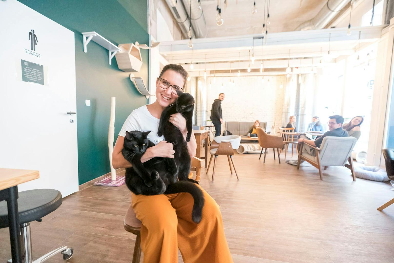 Natascha Bergmann in ihrem Katzencafe Barista Cats in der Kandlgasse 35 in Wien-Neubau. Insgesamt vier schnurrende "Mitarbeiter" warten auf die Besucher.