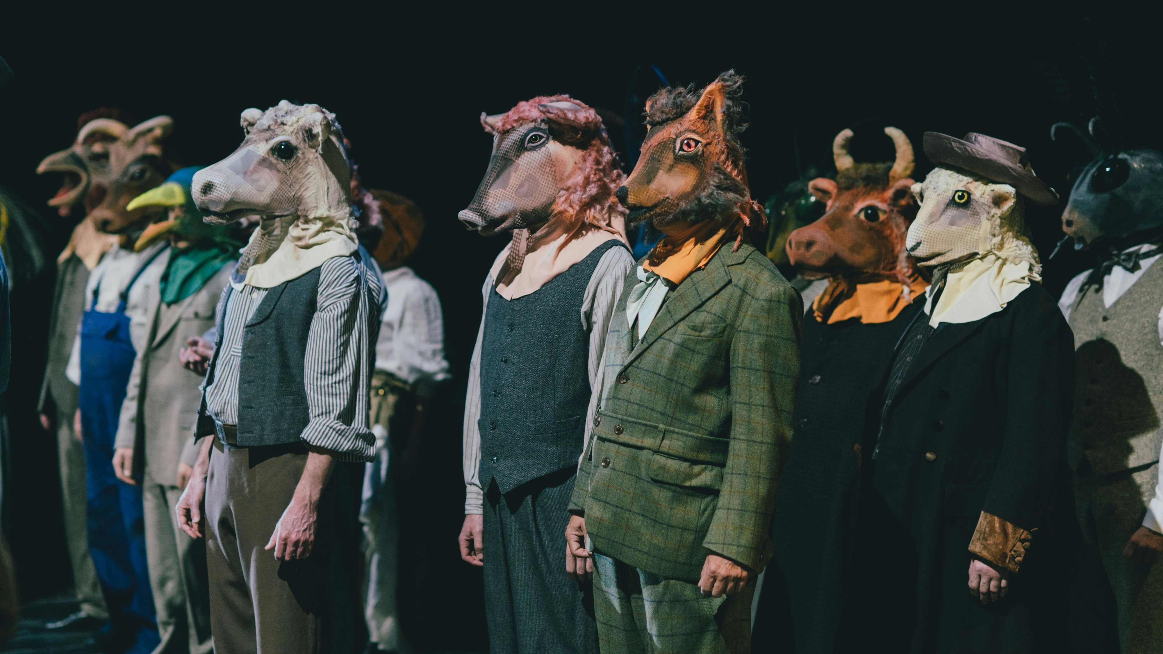 Zu Sehen gibt's das Stpck jetzt in der Volksoper.