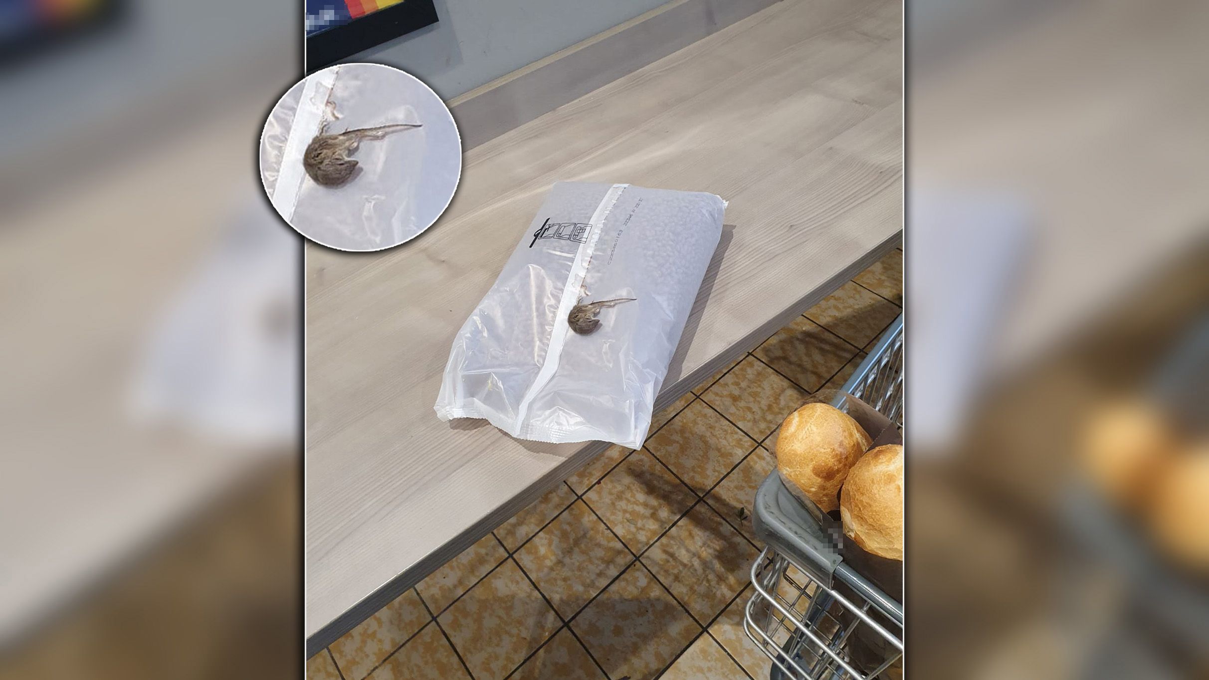 Ekel-Fund in Karton! Wienerin findet Maus in Cornflakes