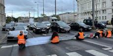Klima-Kleber sorgen für Verkehrs-Kollaps in Wien