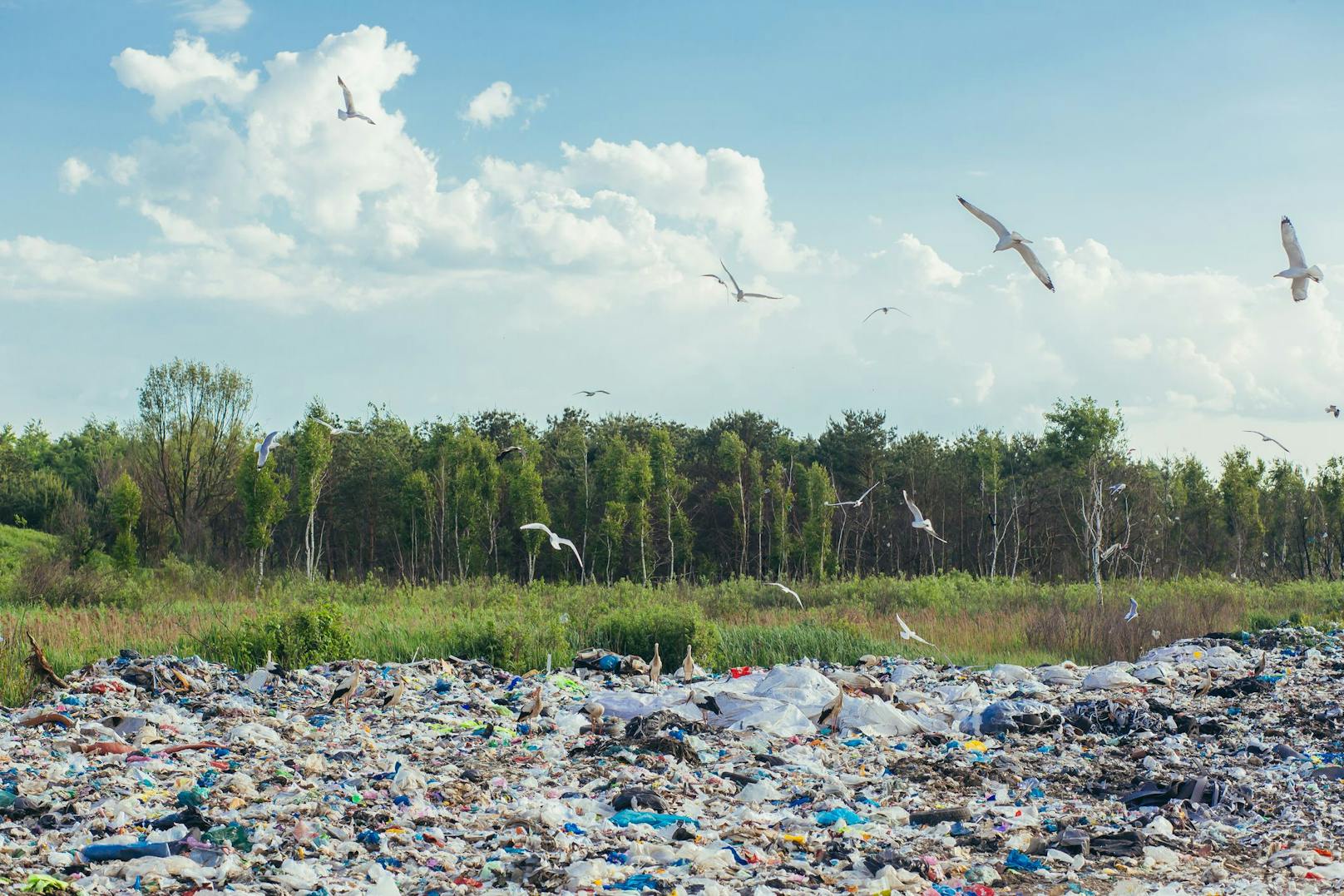 UNEP-Bericht mahnt radikale Plastikreduktion ein