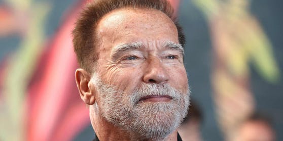 Arnold Schwarzenegger zählt zu den bekanntesten Österreichern.